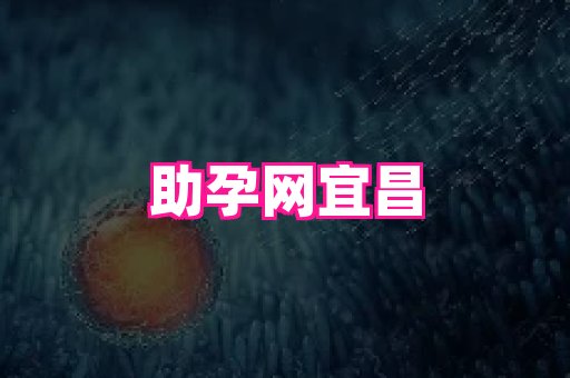 nub孕网 1