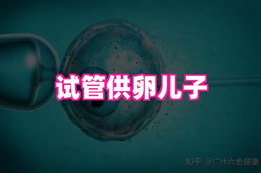 nub孕网 2