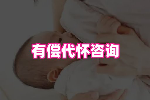 nub孕网 4